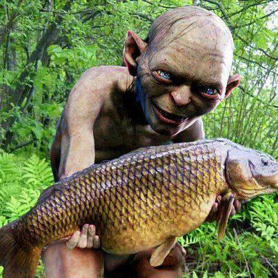 diverse - 27272_436254983112509_2125434083_n.jpg